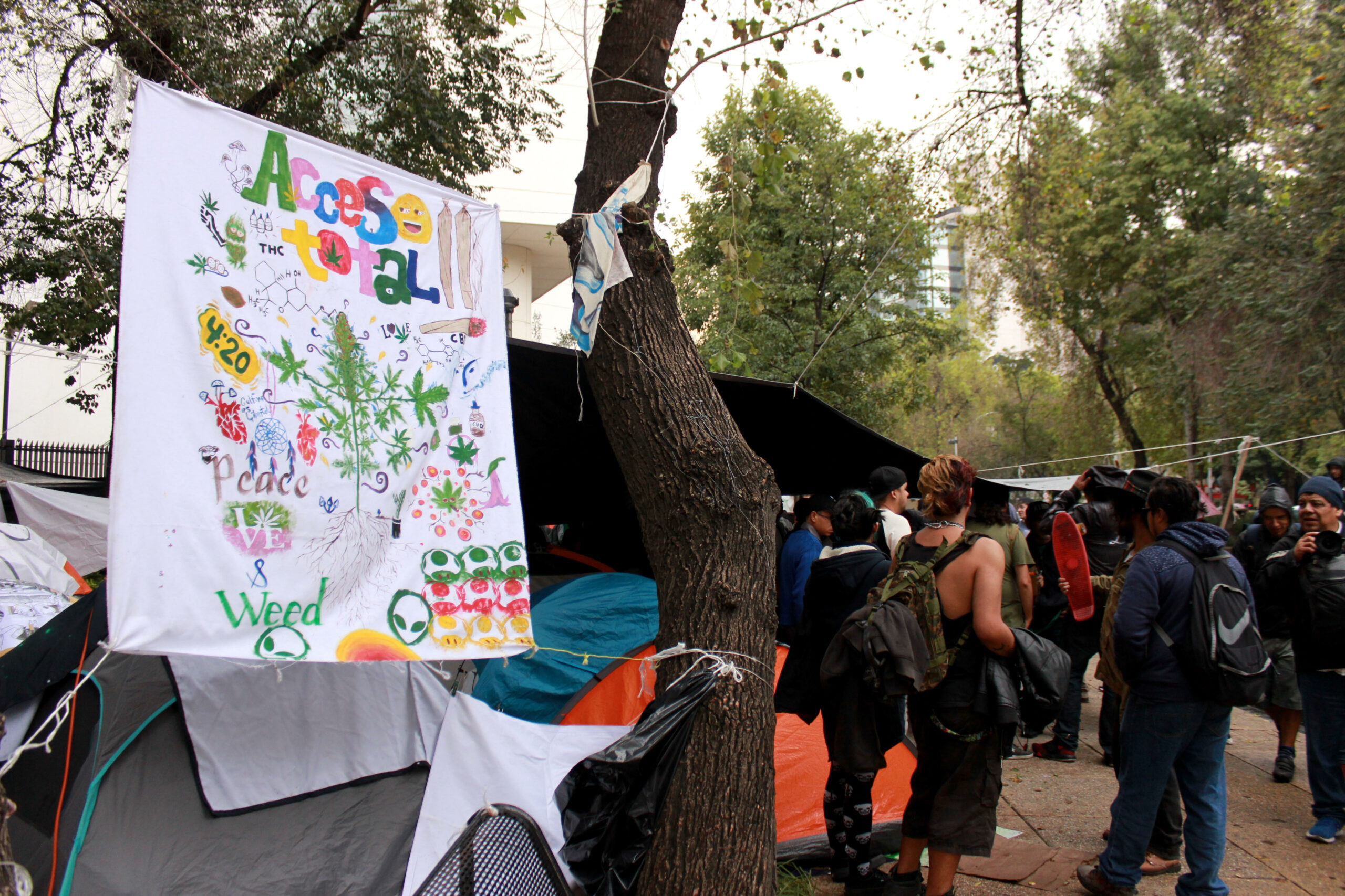 420-Friendly Cannabis Legalization Protest Zones Are Popping Up All Over Mexico Right Now