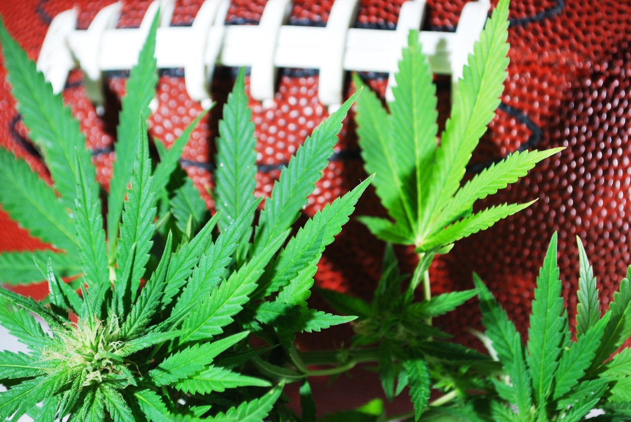 NFL Will Award $1 Million to Researchers Studying Medical Cannabis As Opioid Alternative