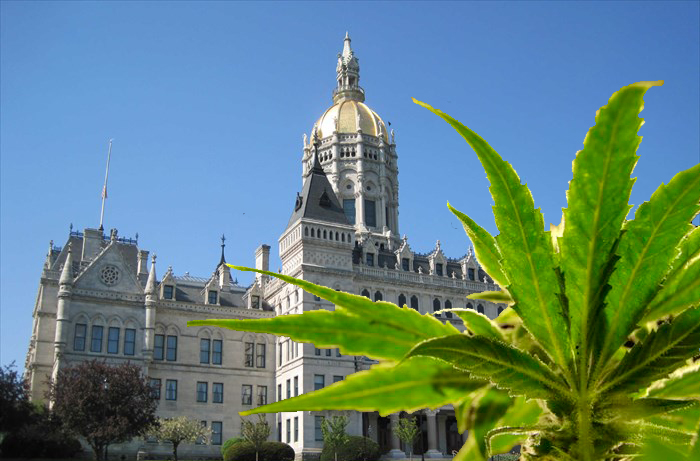 Connecticut Officially Legalizes Adult-Use Cannabis Just in Time for 4th of July