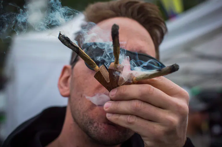 Weed Smokers Are Exposed to Fewer Toxic Chemicals Than Cigarette Smokers, Study Finds