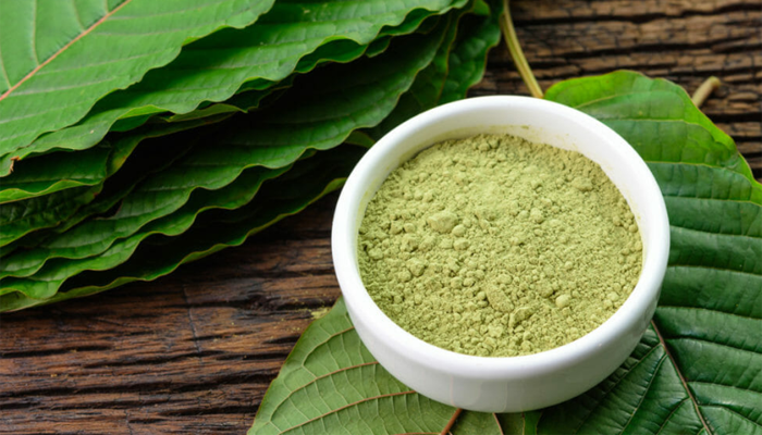 FDA Is Looking for Public Input on Whether the UN Should Ban Kratom Globally