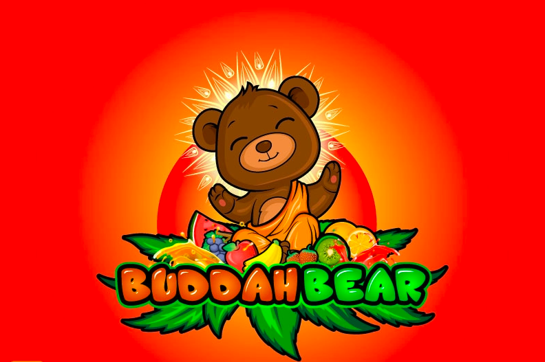 Buddah Bear Carts: What Is This Vape Brand and Are These Weed Products Legit?