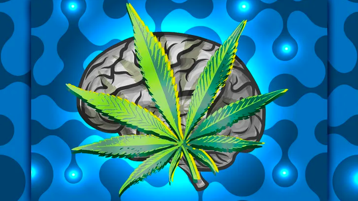 Scientists Think Cannabinoids in Sativex Can Actually Beat Brain Cancer