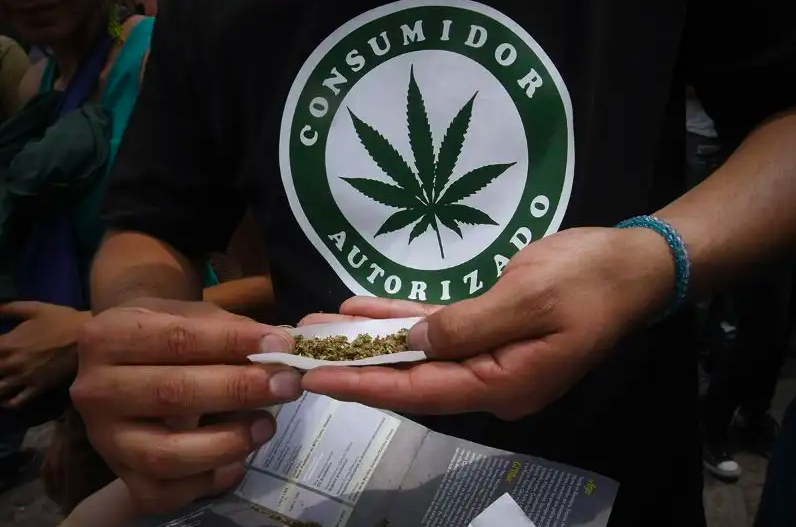 For the First Time in History, the US Is Flooding Mexico with Shit-Tons of Weed