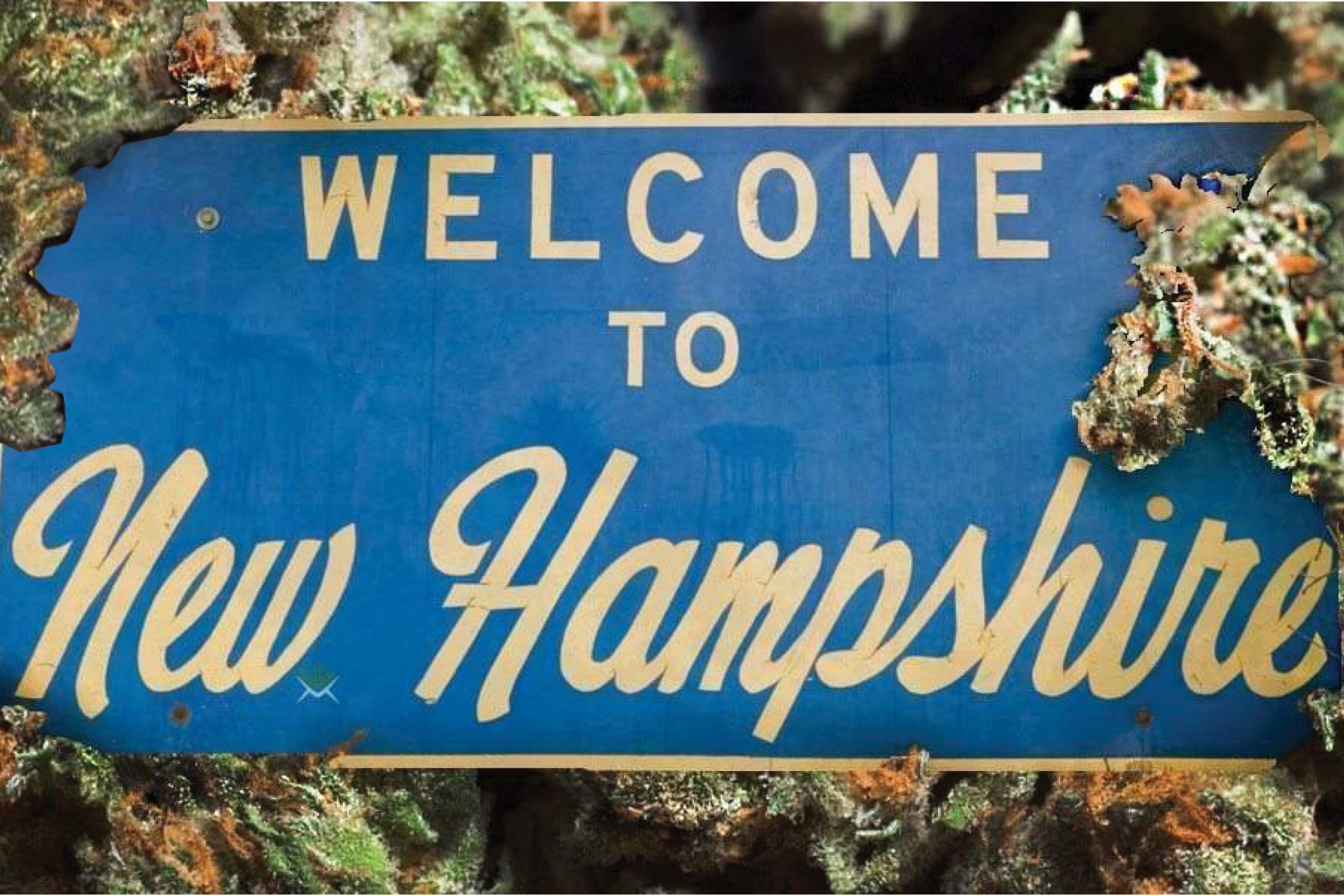 New Hampshire Medical Cannabis Dispensaries Will Soon Serve Out-of-State Patients