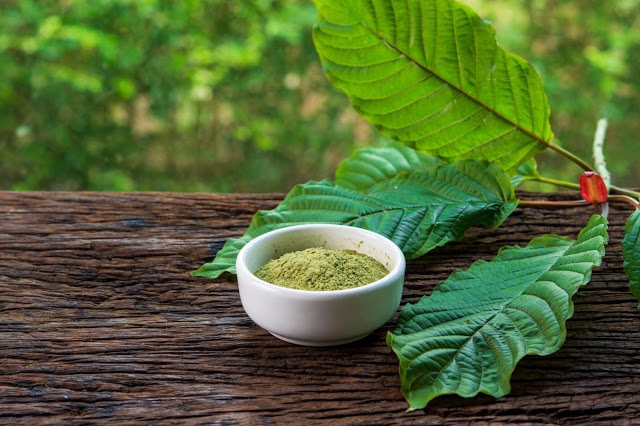 Thailand Just Decriminalized Possession and Sale of Kratom, Dropping Thousands of Criminal Cases