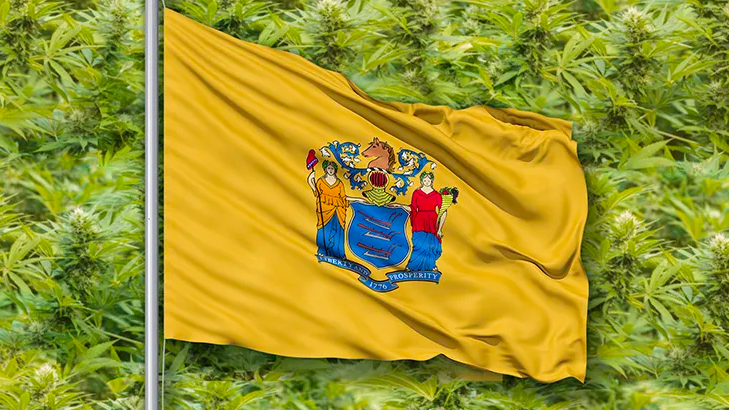 New Jersey Has Expunged More Than 362,000 Weed Convictions In Under Three Months