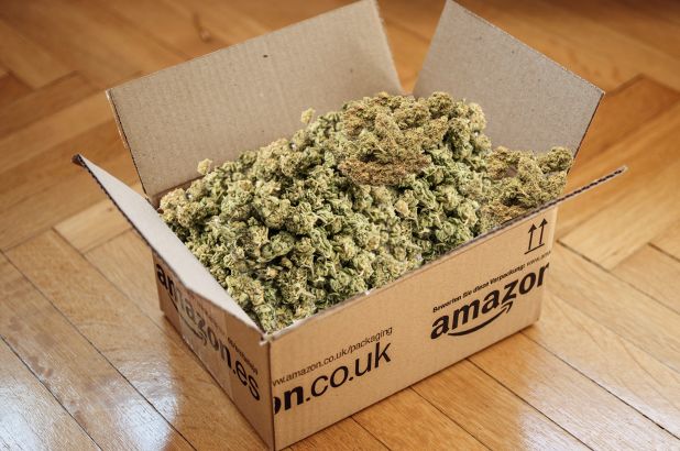 Amazon Wants Former Employees Fired for Weed to Reapply As It Lobbies for Legalization