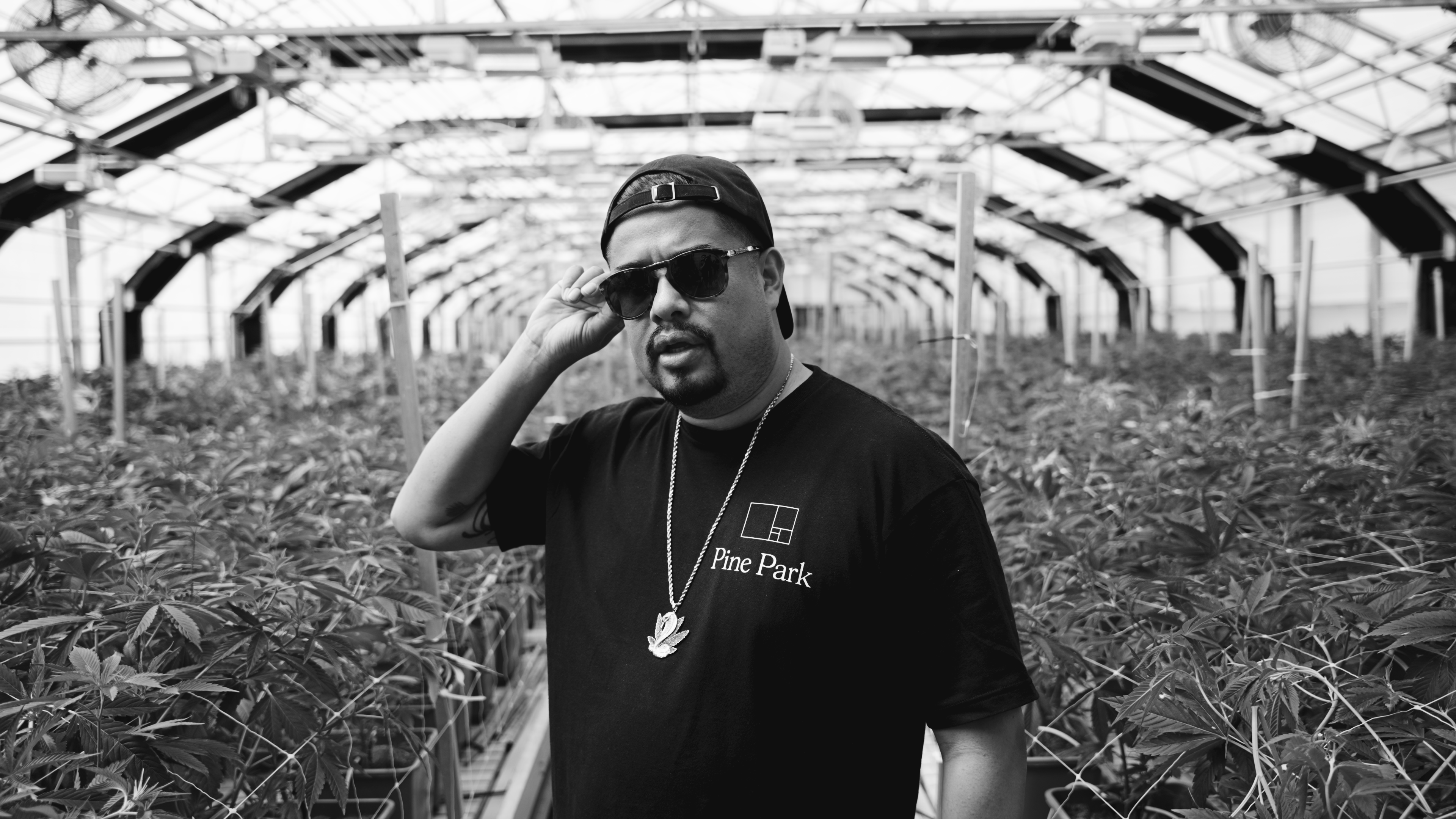 HECZ and The Parent Company Are Going Big in LA This Weekend for Launch of Pine Park Cannabis Brand