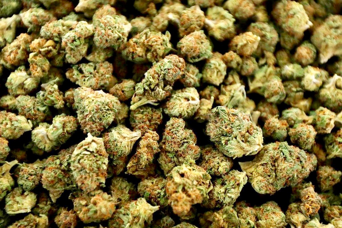 Weed Is the 5th Most Valuable Crop In the Entire US, New Industry Report Says