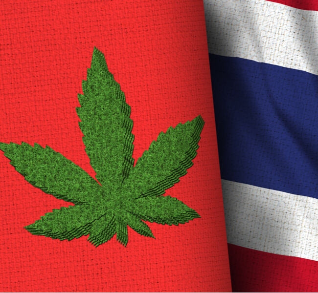 Thailand Is Going to Completely Legalize Adult-Use Plant-Based Cannabis in 2022