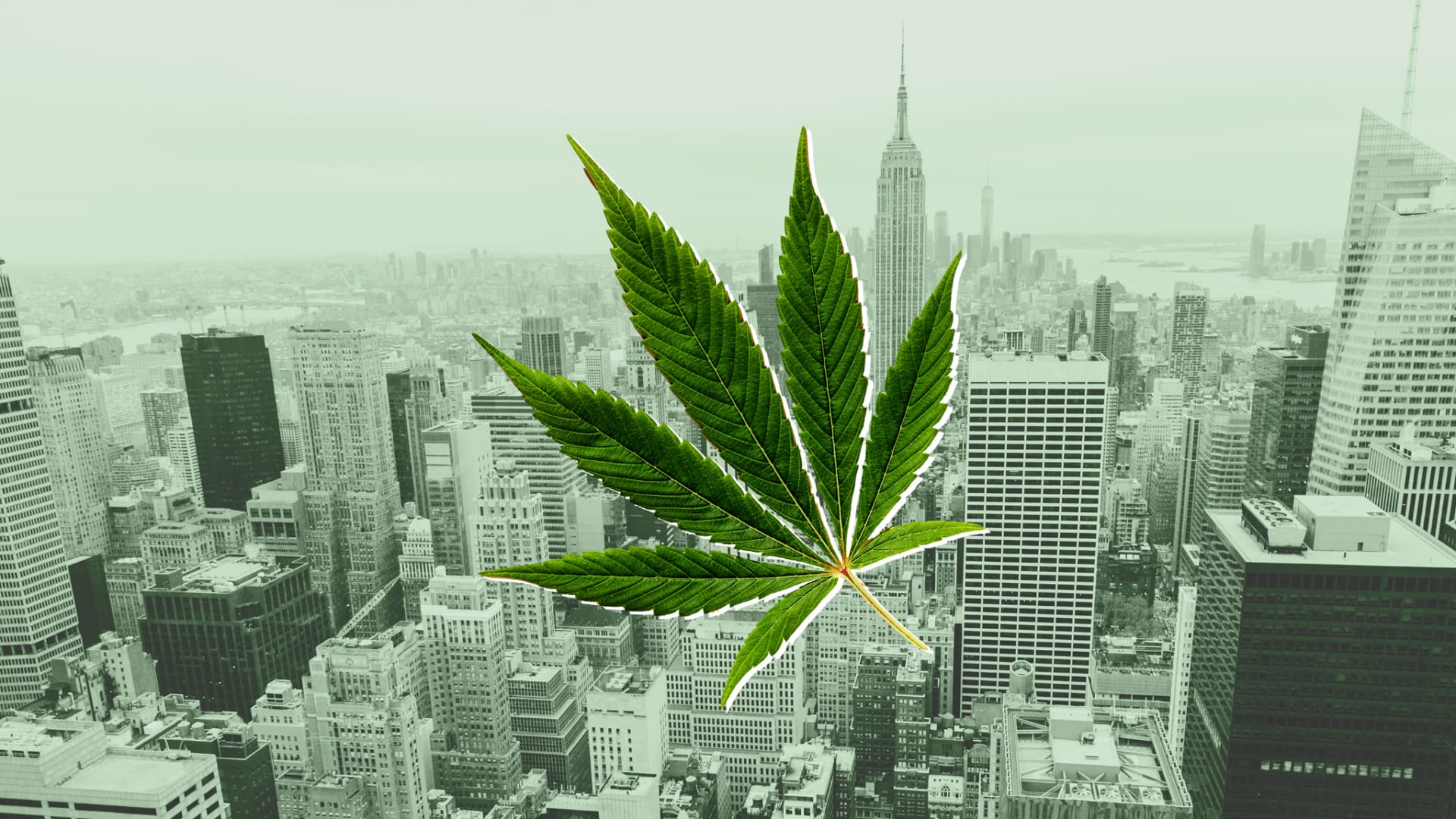 New York Dedicates $200 Million to Help Launch Social Equity Weed Businesses