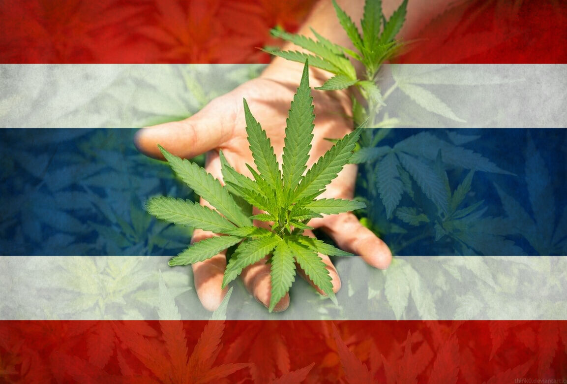 Thailand Contemplates Building Cannabis Tourism Zones