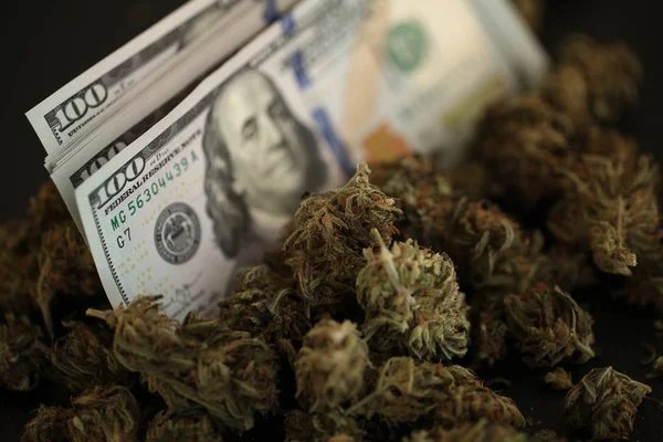 Colorado Just Sold a Record $2.22 Billion of Weed, For All-Time Total of $12.2 Billion
