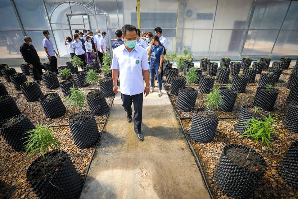 Thailand’s Health Minister Is About to Hit the Road for a Cannabis Tour