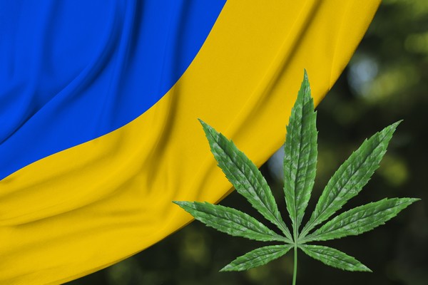 Ukraine Cannabis Activists Launch Weed-Funded Campaign for Wartime Assistance
