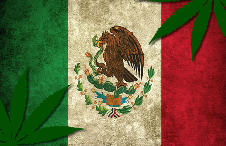 City of Oaxaca, Mexico, Decriminalizes Weed and Public Cannabis Consumption