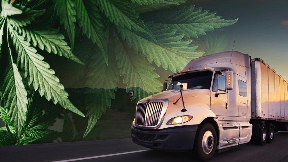 Over 10,000 Truckers Failed Weed Tests in 2022, Worsening Supply Chain Crisis