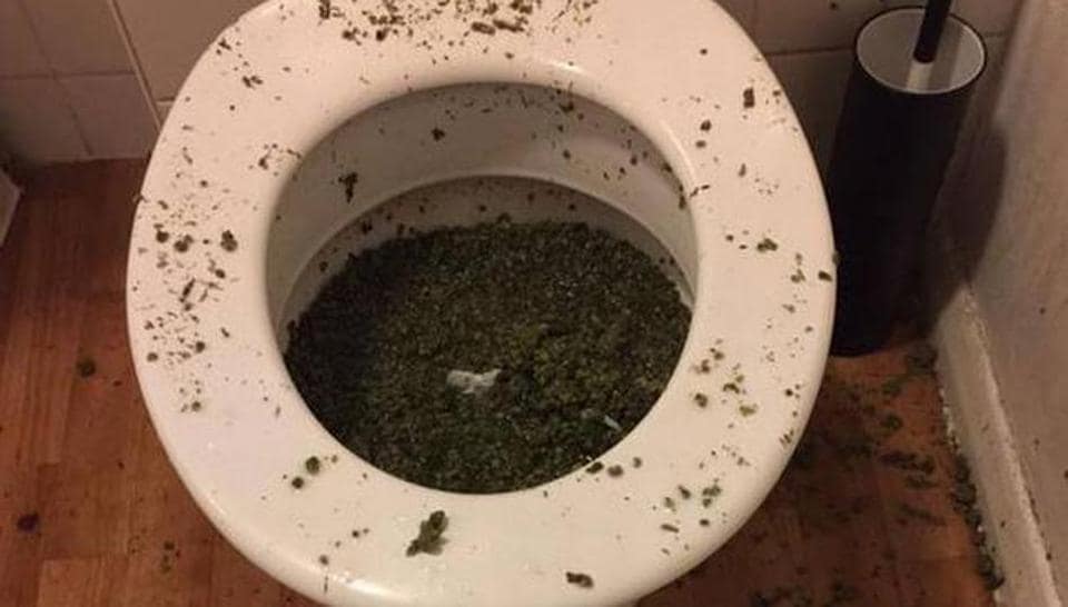 Georgia Man Attempts to Flush 50 Pounds of Weed Down the Toilet to Avoid Arrest