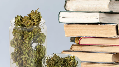 Librarians Are Advocating for Legal Weed to Help Public Libraries Get More Funding