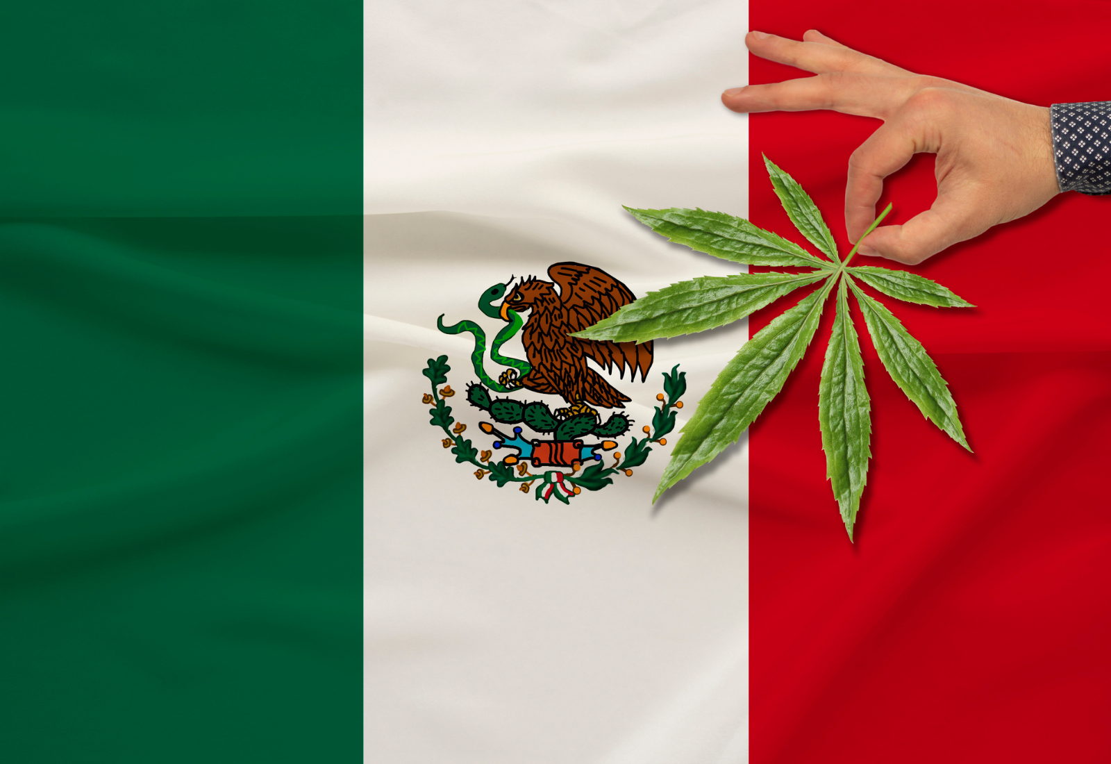 Legalizing Adult-Use Cannabis in Mexico Is a Priority This Session, Mexican Senate Says
