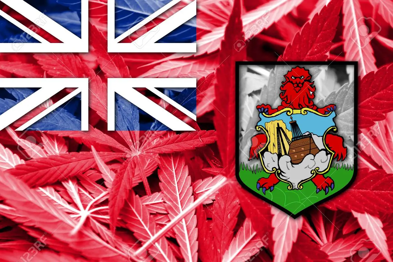 The UK Just Vetoed Bermuda’s Plans for Cannabis Legalization