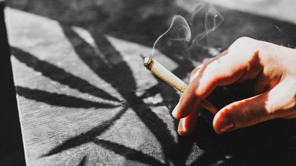 Pretty Much All Americans Understand That Weed Isn’t Dangerous, Poll Says