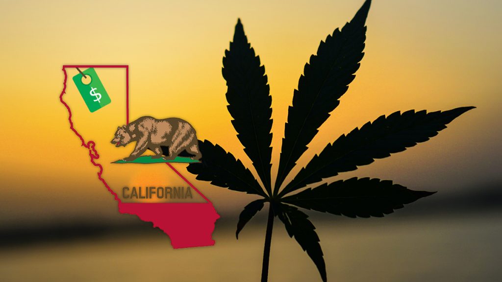 California Collected $242 Million in Weed Tax Revenue in the Last 3 Months Alone