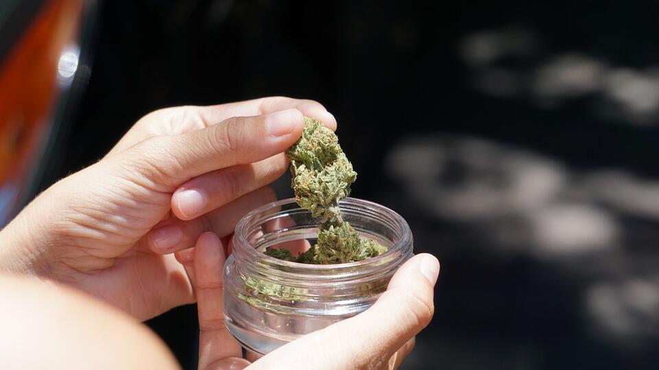 40% of Products From Illegal NYC Pot Shops Are Contaminated with E. Coli, Salmonella, Or Lead