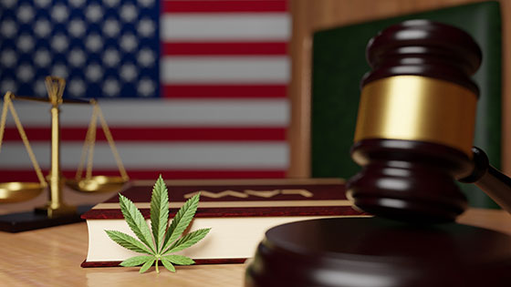 Pennsylvania Officials Rejected Over 90% of the Governor’s New Pot Pardons