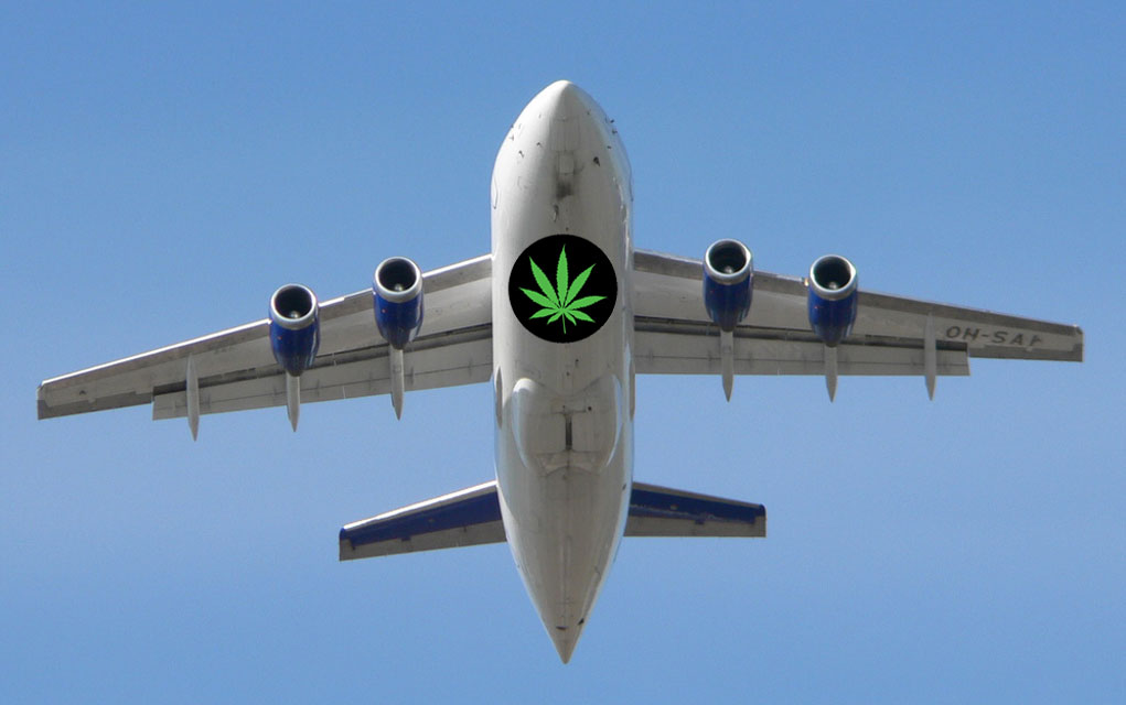 Here’s What You Need to Know About Flying with Weed This Holiday Season