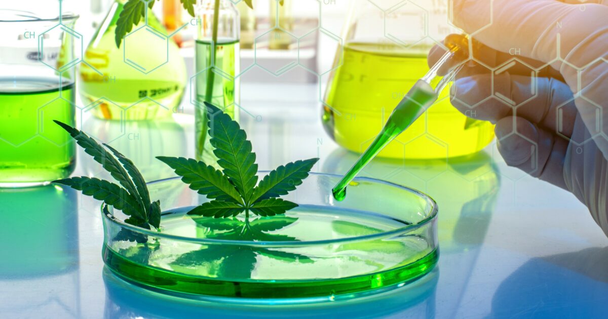 Researchers Published Nearly 4,300 Cannabis-Related Scientific Articles in 2022