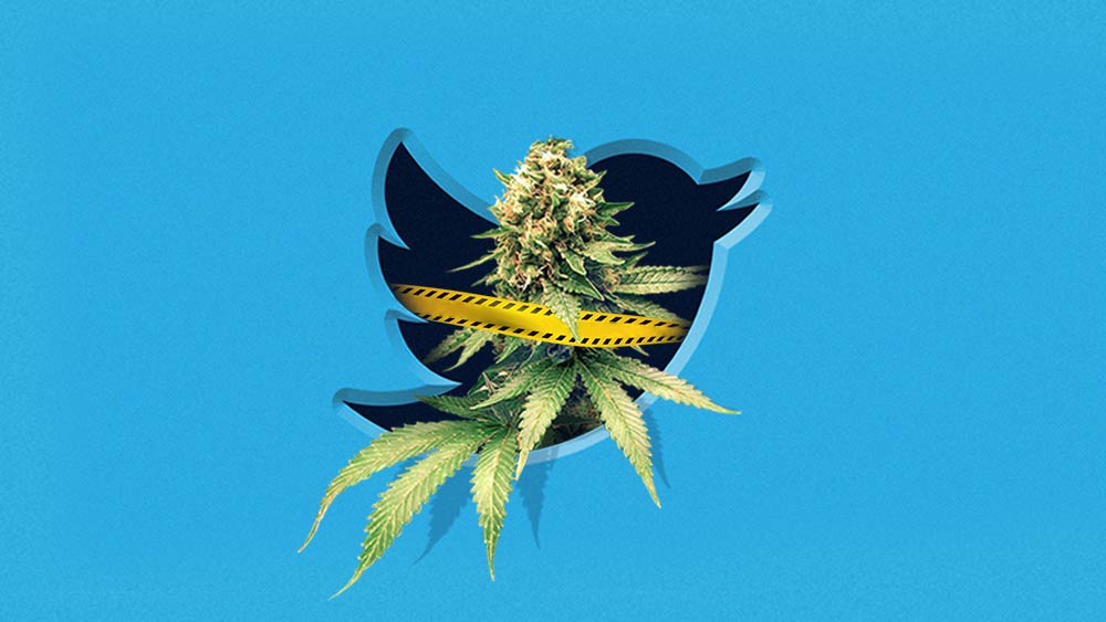 Twitter Is Still Blocking Some Weed Ads Despite It’s “420-Friendly” Policy Change