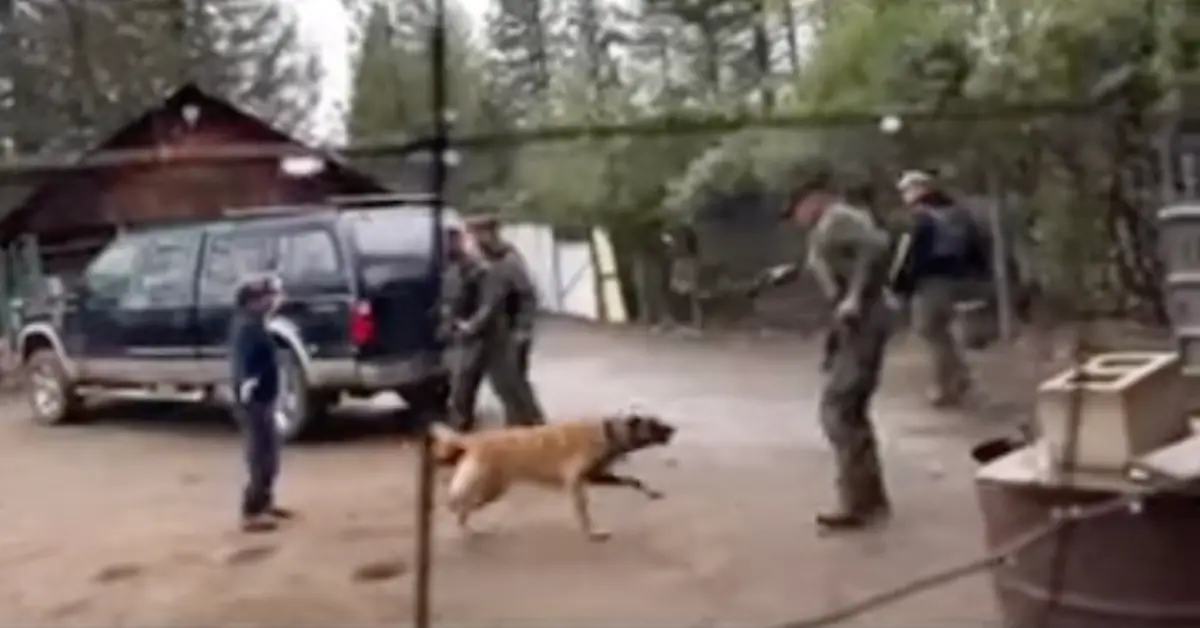 California Cops Shot and Killed a Tethered Dog While Raiding a Legal Weed Farm