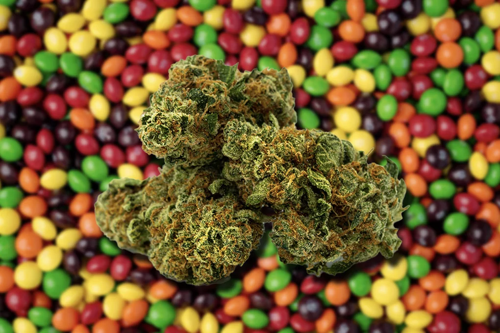 “Stoneos,” “Zkittlez” and Other THC Candy Knockoffs Are Getting Pulled Off the Shelves