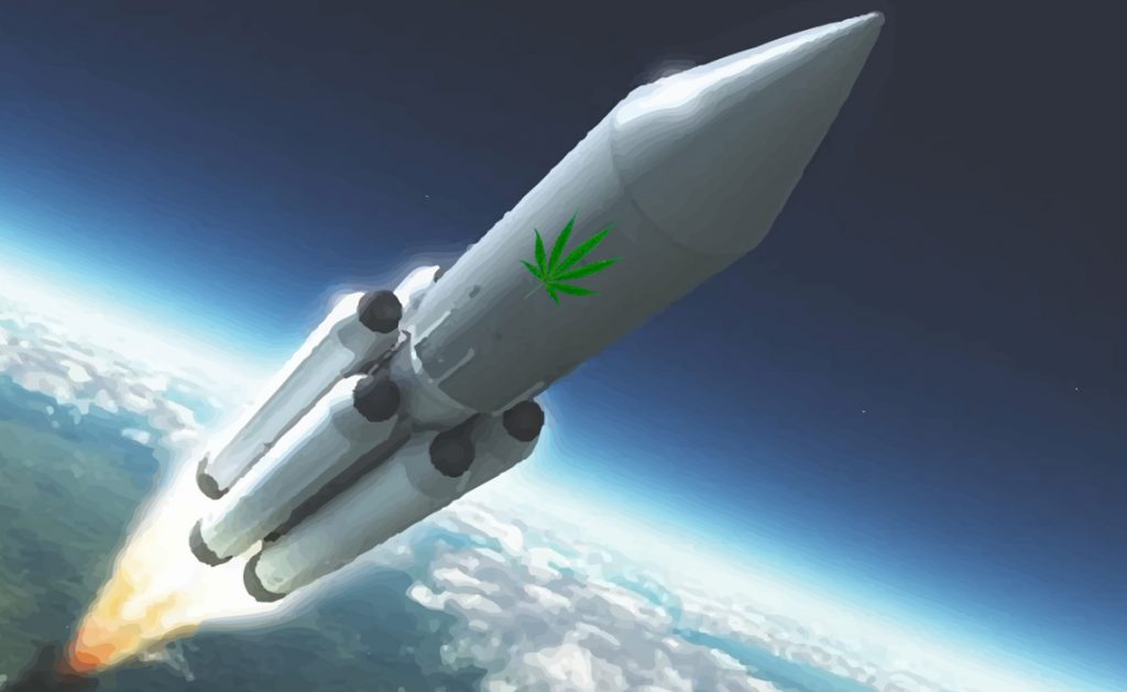 NASA Employee Just Got Busted For Using Covid Loan to Fund an Illegal Weed Grow
