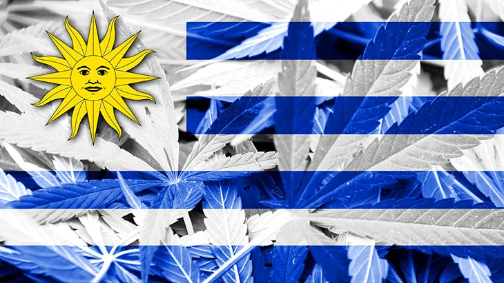 Uruguay Has Sold Over 10 Million Grams of Weed Since Legalizing Six Years Ago