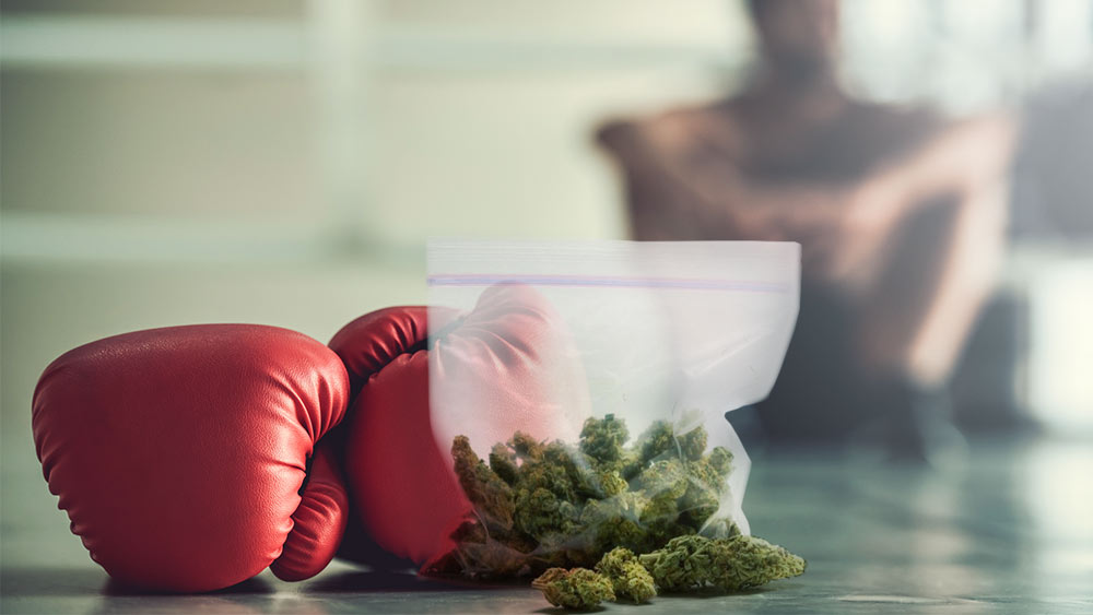 Thailand’s New Weed Boxing Championship Requires Boxers to Get High Before Fighting