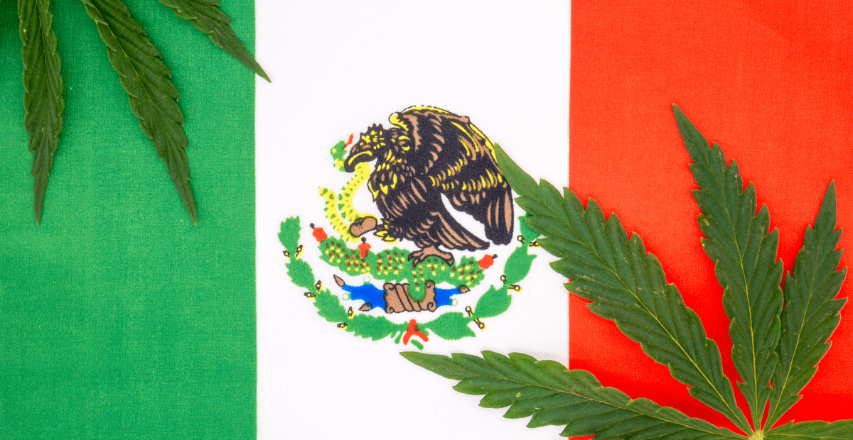 The Evolution of Cannabis in Mexico: A Comprehensive Timeline and Current Status