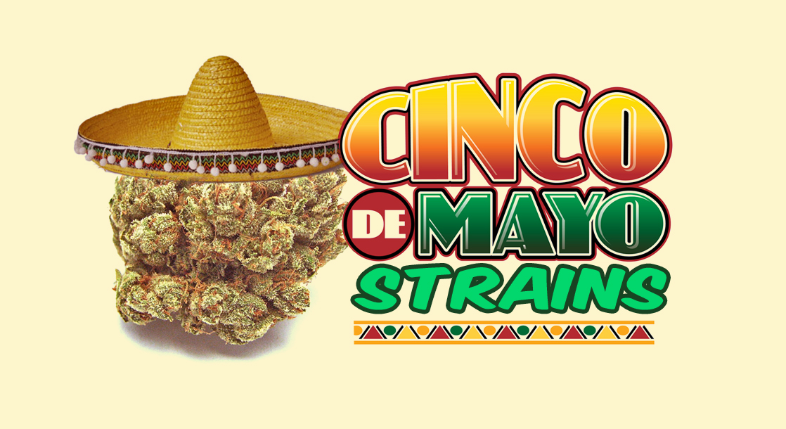Cinco de Mayo: 5 Strains That Will Make the Margaritas Better