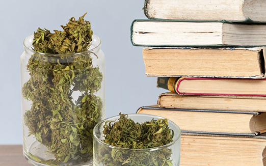 8 Times Cannabis Spiced Up Your Bookshelf
