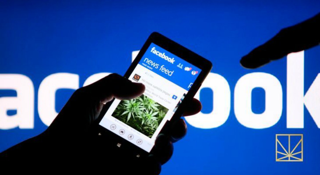 Facebook Is Deleting Alaska’s Recreational Cannabis Dispensaries’ Social Media Pages