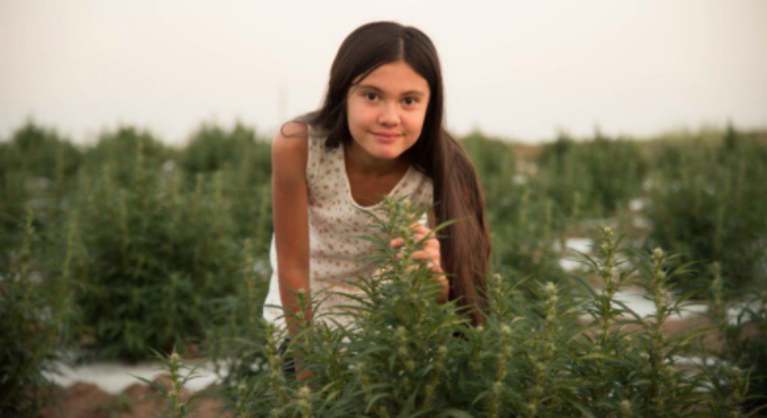 12-Year-Old Alexis Bortell Is Challenging Federal Cannabis Prohibition