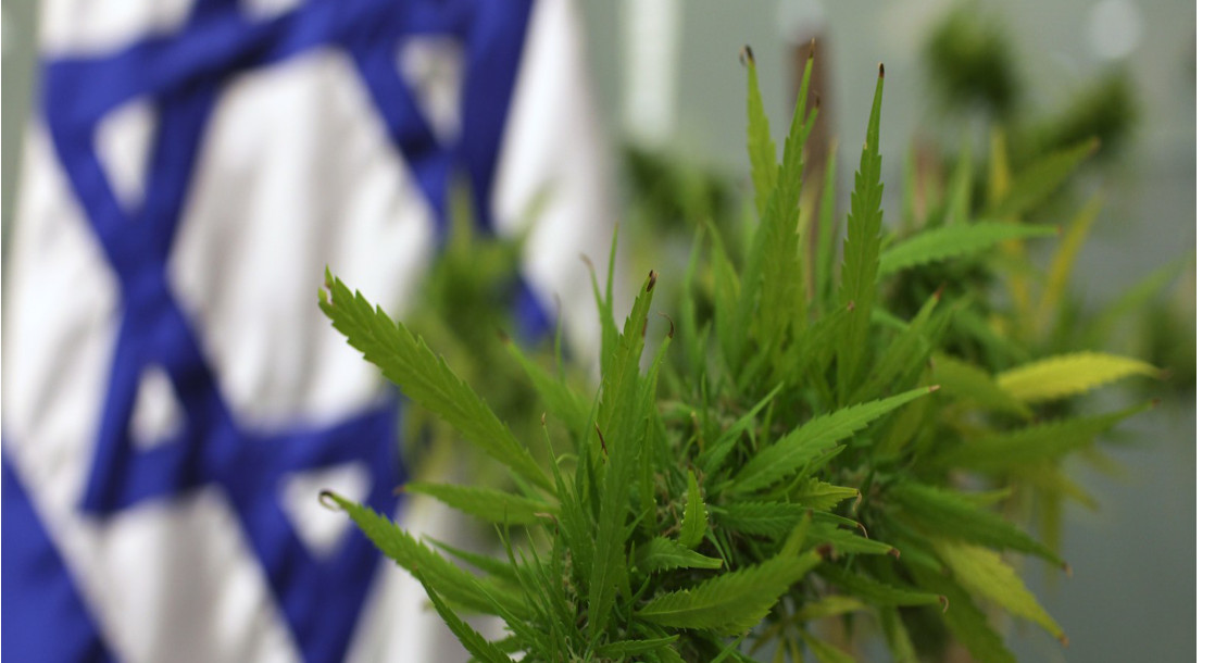 Israeli Study Exploring CBD Treatment for Autism Yielding Positive Early Results