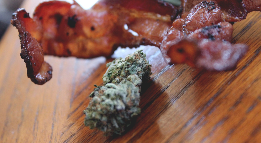 An In-Depth Look at the Strong and Sizzling Relationship Between Bud and Bacon
