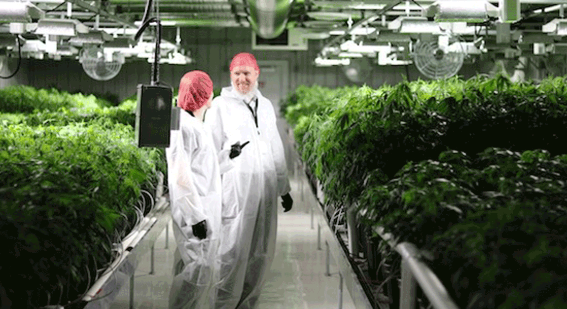The World’s Largest Cannabis Facility Has Broken Ground