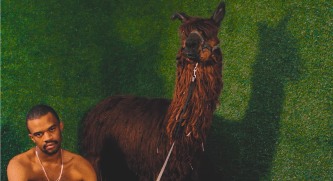 Brockhampton Rob a Bank with an Alpaca Accomplice in “Gummy” Music Video