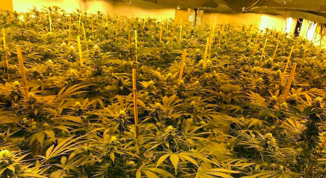 British Police Seized A Million Dollars Worth of Weed In an ‘80s Nuke Shelter