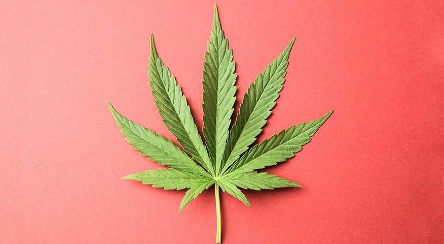 Majority of California Voters Want to End Marijuana Prohibition