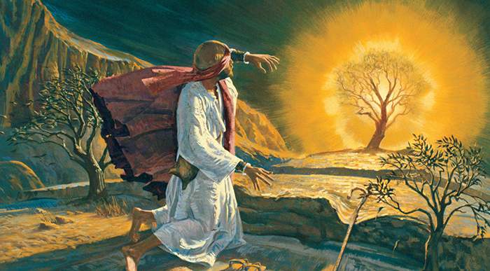 How Moses and the Israelites Used Cannabis